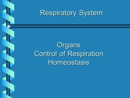 Organs Control of Respiration