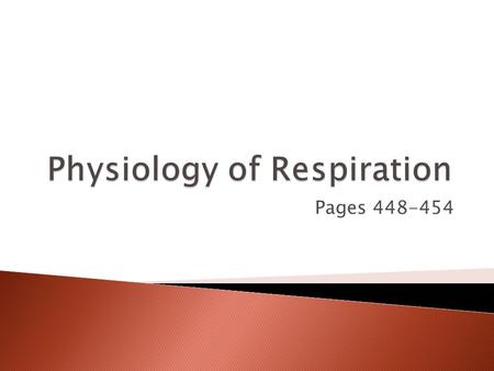 Pages 448-454. 0 1,000 2,000 3,000 4,000 5,000 6,000 Milliliters (ml) Inspiratory reserve volume 3,100 ml Tidal volume 500 ml Expiratory reserve volume.