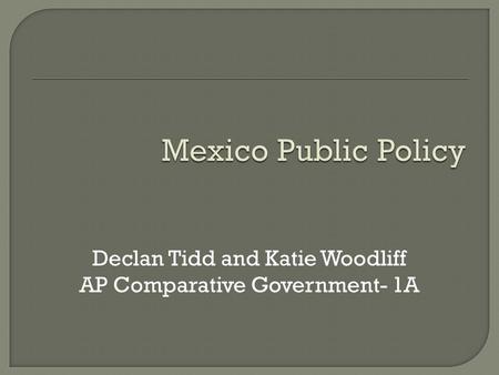 Declan Tidd and Katie Woodliff AP Comparative Government- 1A.