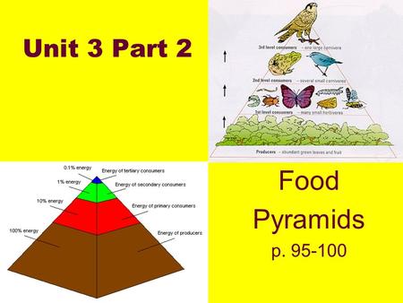 Unit 3 Part 2 Food Pyramids p. 95-100. Define Food Pyramid Diagram showing each trophic level as a horizontal bar. Producers are located on bottom Higher.