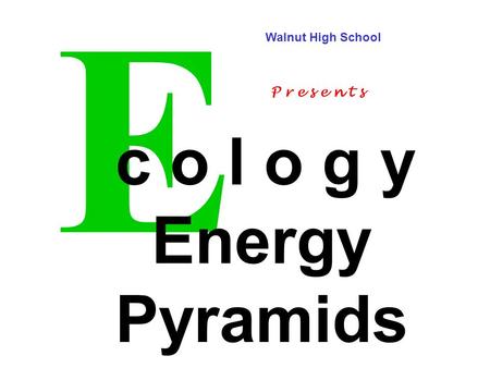 E c o l o g y Energy Pyramids Walnut High School P r e s e n t s.