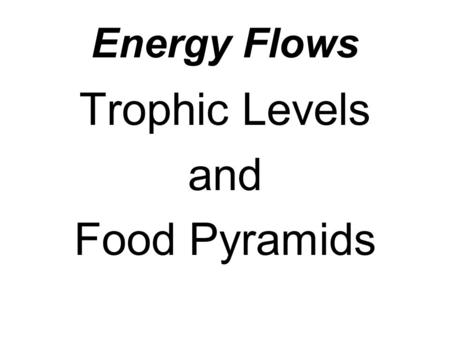 Energy Flows Trophic Levels and Food Pyramids. Autotrophs A groups of organisms that can use the energy in sunlight to convert water and carbon dioxide.