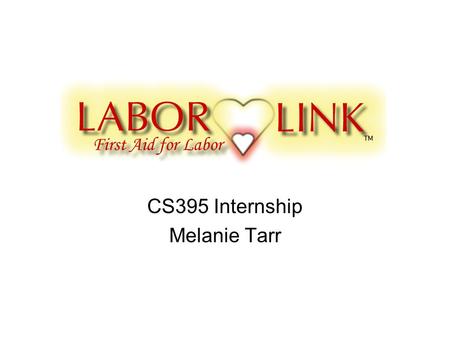 CS395 Internship Melanie Tarr. Company Overview Midwives and patients informally tied towels together, giving one end to the laboring woman and the other.