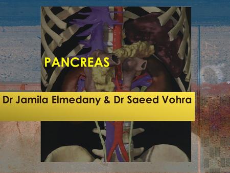 PANCREAS Dr Jamila Elmedany & Dr Saeed Vohra. OBJECTIVES By the end of this lecture the student should be able to : Describe the anatomical view of the.