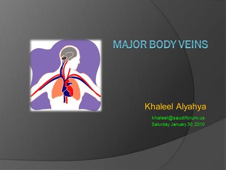 Major body Veins Khaleel Alyahya