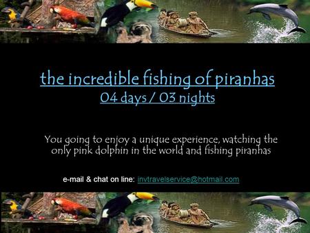 The incredible fishing of piranhas 04 days / 03 nights You going to enjoy a unique experience, watching the only pink dolphin in the world and fishing.