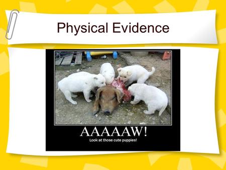 Physical Evidence. Class characteristics: Evidence can only be associated with a group and not a unique source Individual characteristics: Evidence can.
