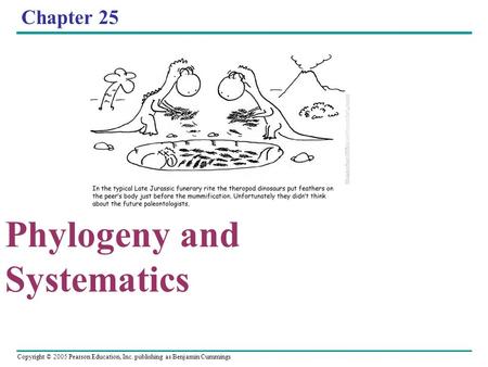 Copyright © 2005 Pearson Education, Inc. publishing as Benjamin Cummings Chapter 25 Phylogeny and Systematics.