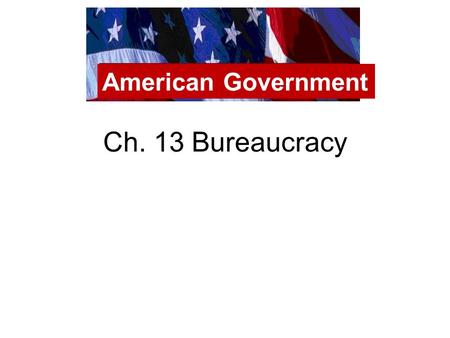 Ch. 13 Bureaucracy American Government. Bureaucracy Line at the DMV Chicago Public Schools American Government.