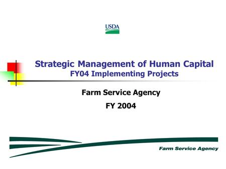Strategic Management of Human Capital FY04 Implementing Projects Farm Service Agency FY 2004.