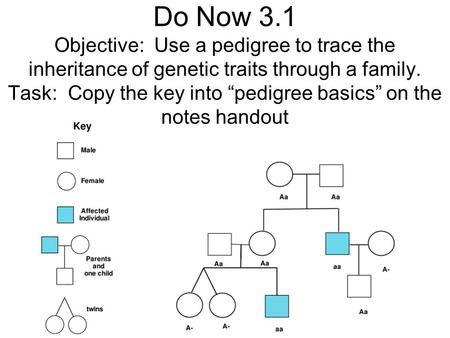 Do Now 3.1 Objective: Use a pedigree to trace the inheritance of genetic traits through a family. Task: Copy the key into “pedigree basics” on the notes.