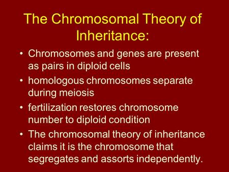 The Chromosomal Theory of Inheritance: Chromosomes and genes are present as pairs in diploid cells homologous chromosomes separate during meiosis fertilization.