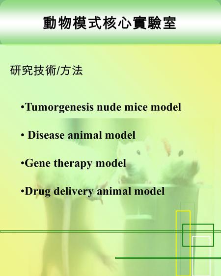 動物模式核心實驗室 Tumorgenesis nude mice model Disease animal model Gene therapy model Drug delivery animal model 研究技術 / 方法.