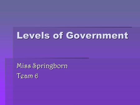 Levels of Government Miss Springborn Team 6. National Government Based in Washington D.C.  Chief Executive: President Obama  Legislative: Congress,