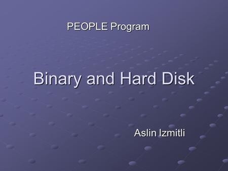Binary and Hard Disk Aslin Izmitli PEOPLE Program.