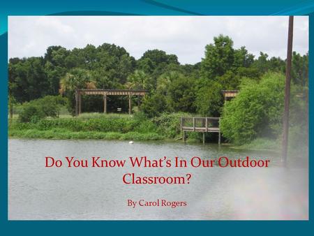 Do You Know What’s In Our Outdoor Classroom? By Carol Rogers.