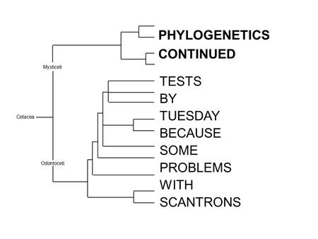 PHYLOGENETICS CONTINUED TESTS BY TUESDAY BECAUSE SOME PROBLEMS WITH SCANTRONS.