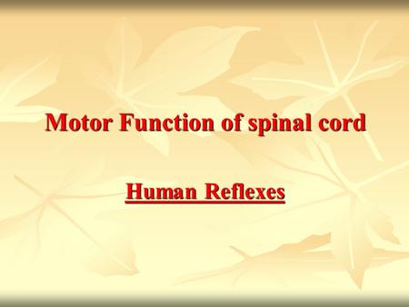 Motor Function of spinal cord