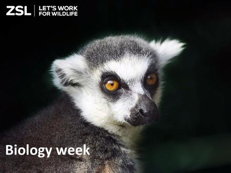 Biology week. How much do you know about animals? - ppt download
