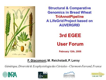 UMR 1095 - ASP UMR 1095 - ASP Structural & Comparative Genomics in Bread Wheat TriAnnotPipeline A LifeGrid Project based on AUVERGRID F. Giacomoni, M.