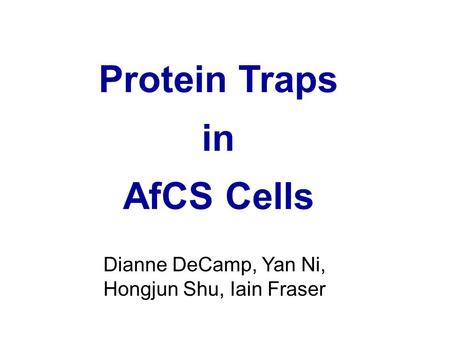 Protein Traps in AfCS Cells Dianne DeCamp, Yan Ni, Hongjun Shu, Iain Fraser.