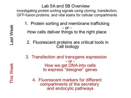 Lab 5A and 5B Overview Investigating protein sorting signals using cloning, transfection, GFP-fusion proteins, and vital stains for cellular compartments.