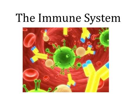 The Immune System.