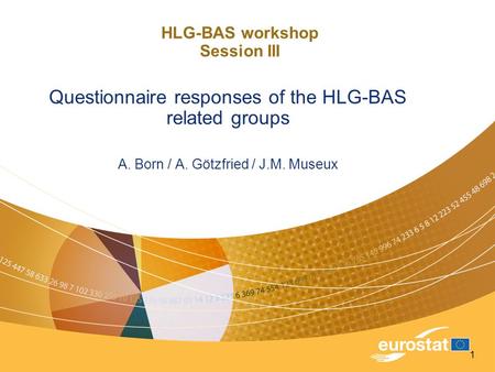 1 HLG-BAS workshop Session III Questionnaire responses of the HLG-BAS related groups A. Born / A. Götzfried / J.M. Museux.