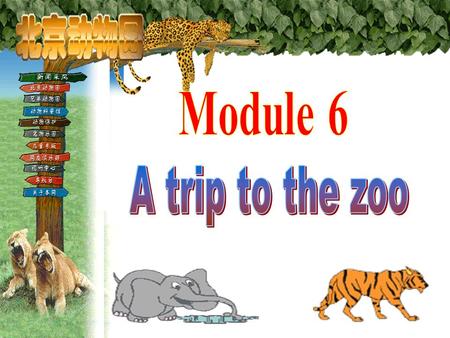  you like animals? 's your favourite animal?  you ever been  to a zoo?  you want to go to a zoo? - ppt download