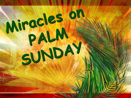 Miracles on PALM SUNDAY M i r a c l e s o n P A L M S U N D A Y.