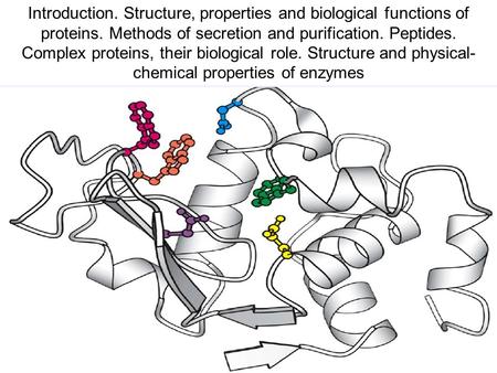 Introduction. Structure, properties and biological functions of proteins. Methods of secretion and purification. Peptides. Complex proteins, their biological.