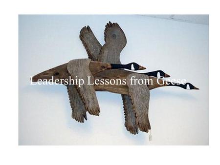Leadership Lessons from Geese. Fact 1 As Each Goose Flaps Its Wings, It Creates an Uplift for the Birds That Follow. By Flying in a V Formation, the.