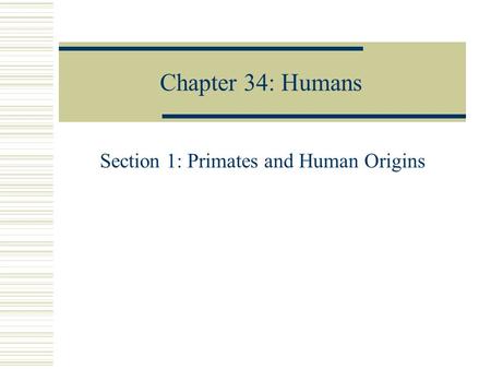Section 1: Primates and Human Origins