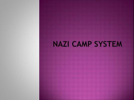  The Nazis Used the colored triangle system to identify each prisoners background  Jews were the main target in the holocaust  Gypsies, homosexuals,