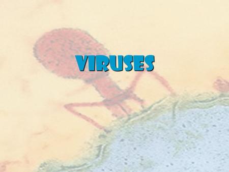 VIRUSES. INTRODUCTION Viruses – Latin for ‘poison’ Viruses – Latin for ‘poison’ Viruses are NOT classified as living (they lack cytoplasm, organelles.