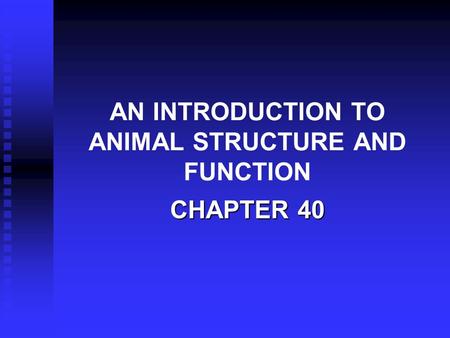 AN INTRODUCTION TO ANIMAL STRUCTURE AND FUNCTION CHAPTER 40.
