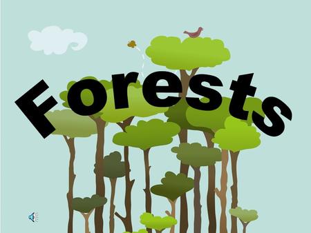 Forests are a very important part of our existence. They provide us with many of the things we need to survive. That is why we have to preserve them.