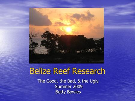 Belize Reef Research The Good, the Bad, & the Ugly Summer 2009 Summer 2009 Betty Bowles.