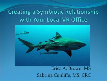 Erica A. Brown, MS Sabrina Cunliffe, MS, CRC. Session Overview Becoming a VR vendor for Job Placement Services Ensuring a person receives quality Career.