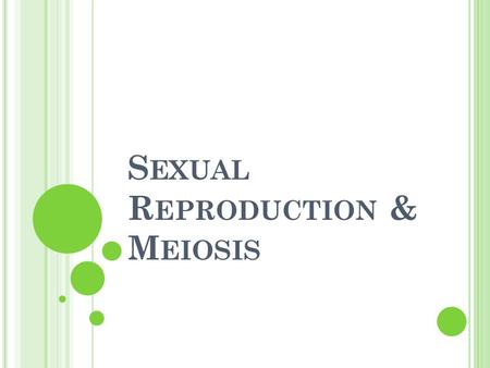 S EXUAL R EPRODUCTION & M EIOSIS. S EXUAL R EPRODUCTION During Sexual Reproduction, two sex cells (sperm & egg) come together Sperm are formed in male.