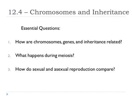 12.4 – Chromosomes and Inheritance