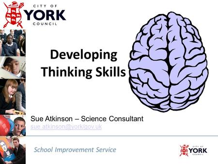 School Improvement Service Sue Atkinson – Science Consultant  Developing Thinking Skills.