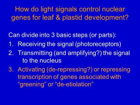 How do light signals control nuclear genes for leaf & plastid development? Can divide into 3 basic steps (or parts): 1.Receiving the signal (photoreceptors)