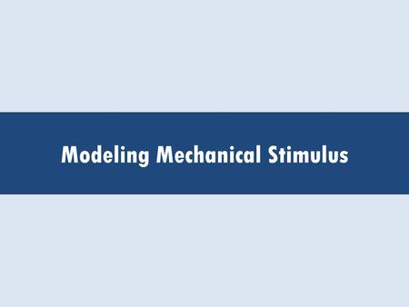 Modeling Mechanical Stimulus. Intro Activity -(Outline Activity Once Determined) -(Questions, etc.)