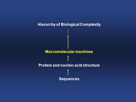 Hierarchy of Biological Complexity Macromolecular machines Protein and nucleic acid structure Sequences.