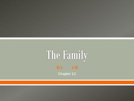 The Family Chapter 12.