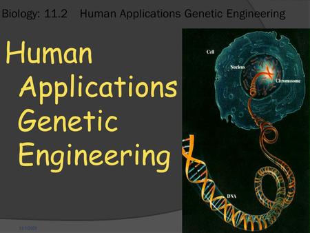 11/1/2009 Biology: 11.2 Human Applications Genetic Engineering Human Applications Genetic Engineering.