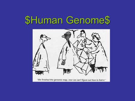 $Human Genome$. Human Genome Project & Goals It is an international effort to completely map and sequence the human genome, their are approximately 80,000.