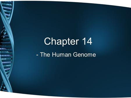 Chapter 14 - The Human Genome.