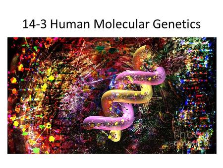 14-3 Human Molecular Genetics. Testing for Alleles Genetic tests are now available for hundreds of disorders o Tay-Sachs o Cystic Fibrosis o Sickle Cell.